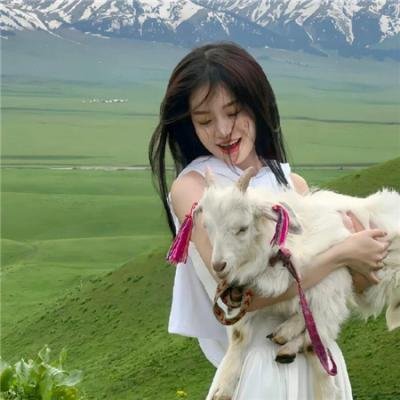 出水红莲 在线观看